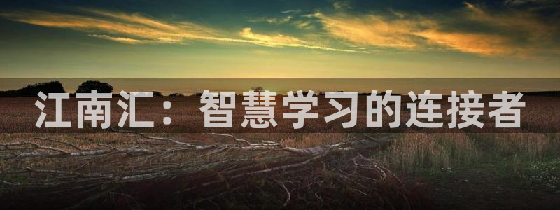 新航娱乐官网地址：江南汇：智慧学习的连接者