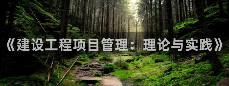武汉中创新航娱乐室：《建设工程项目管理：理论与实践》
