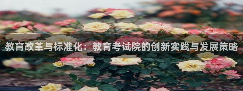 娱乐新航向：教育改革与标准化：教育考试院的创新实践与发展策略