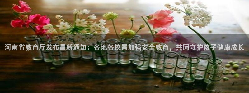 中国证券新航娱乐官网：河南省教育厅发布最新通知：各地各校需加