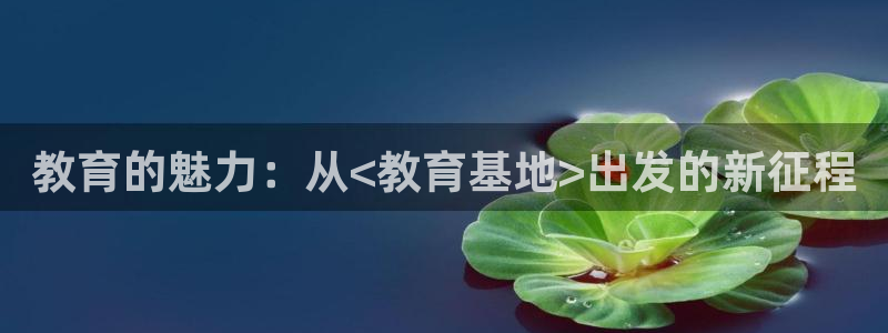萧山娱乐新航母阿里巴巴：教育的魅力：从<教育基地>出发的新征
