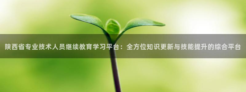 新航娱乐公司招聘电话：陕西省专业技术人员继续教育学习平台：全
