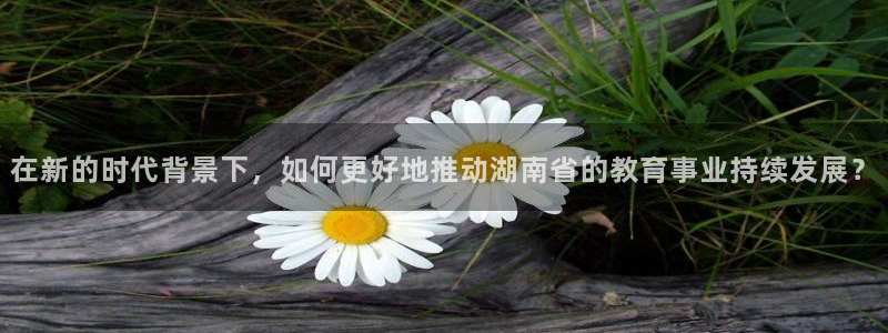 新航娱乐黑：在新的时代背景下，如何更好地推动湖南省的教育事业