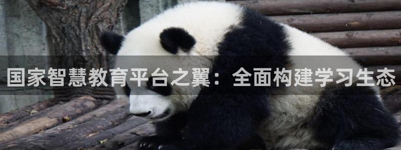 新航娱乐系统设置：国家智慧教育平台之翼：全面构建学习生态