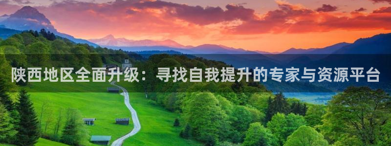 娱乐新航线：陕西地区全面升级：寻找自我提升的专家与资源平台