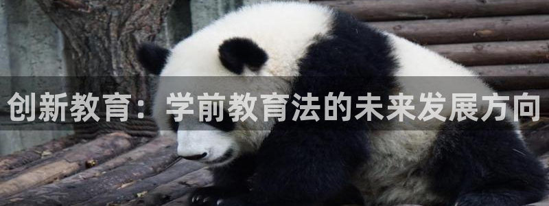 新航娱乐官方首页：创新教育：学前教育法的未来发展方向