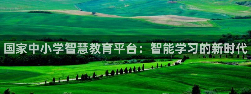 新航面试娱乐：国家中小学智慧教育平台：智能学习的新时代