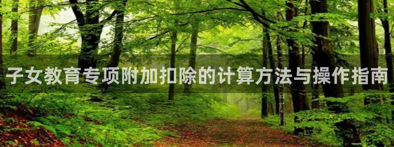 岛城娱乐新航向：子女教育专项附加扣除的计算方法与操作指南