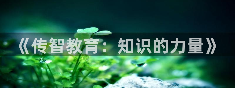 新航娱乐公司地址电话：《传智教育：知识的力量》