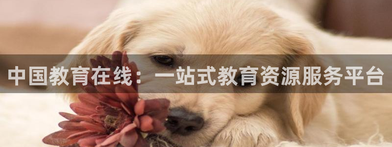 新航娱乐集团最新消息：中国教育在线：一站式教育资源服务平台