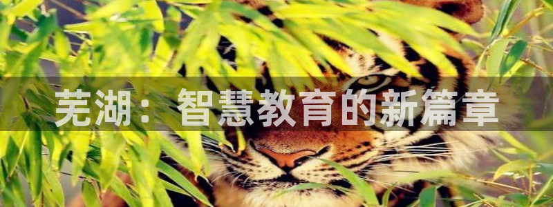 高州市新航线娱乐俱乐部：芜湖：智慧教育的新篇章