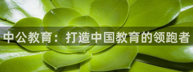 新航海娱乐会所怎么样啊：中公教育：打造中国教育的领跑者