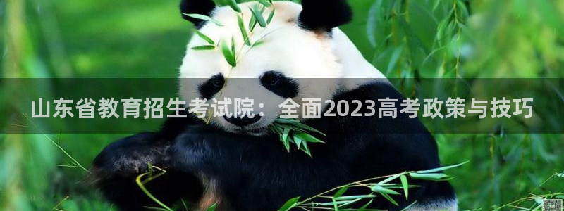 新航线娱乐会所：山东省教育招生考试院：全面2023高考政策与