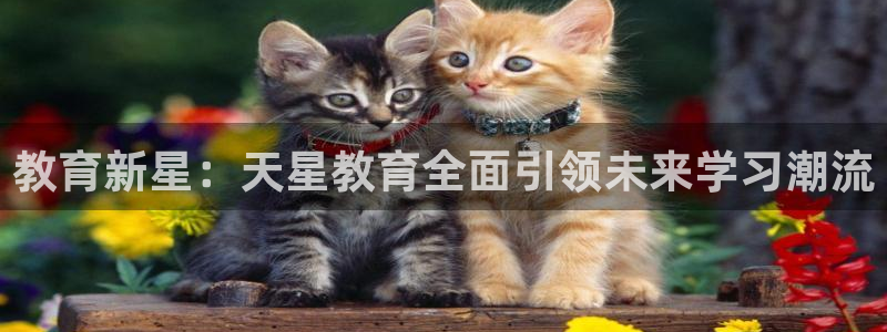 新航娱乐传媒怎么样：教育新星：天星教育全面引领未来学习潮流