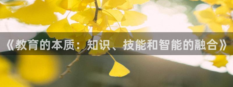 新航娱乐平台注册：《教育的本质：知识、技能和智能的融合》