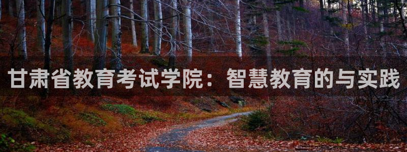 新航娱乐q被骗：甘肃省教育考试学院：智慧教育的与实践