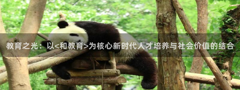 武汉中创新航娱乐室：教育之光：以<和教育>为核心新时代人才培