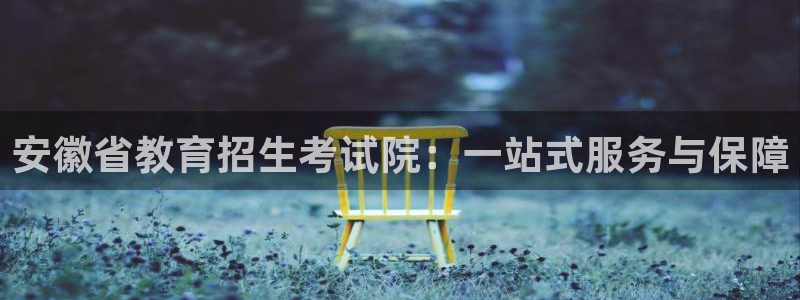 新航娱乐黑：安徽省教育招生考试院：一站式服务与保障