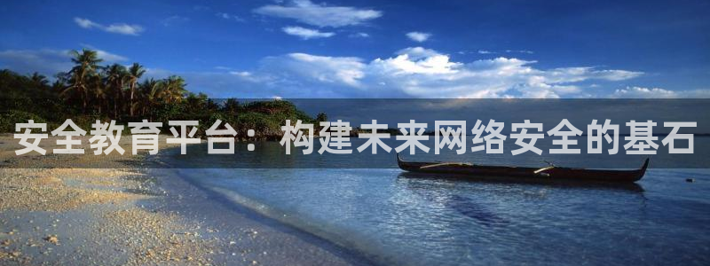 新航娱乐登录入口：安全教育平台：构建未来网络安全的基石